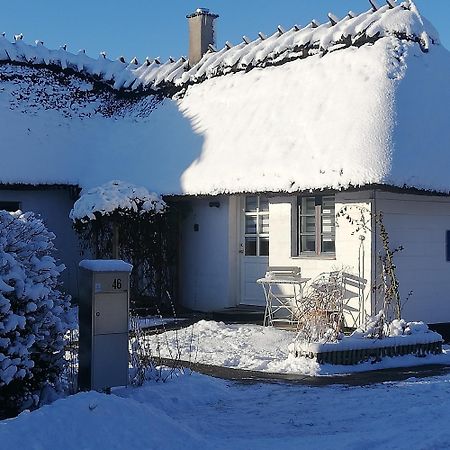 The Whispering Apple Garden Retreat Apartment Morud Exterior foto